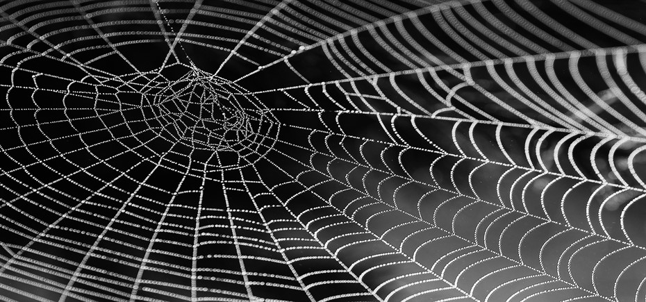 cobweb-921039_1920-1_930x435