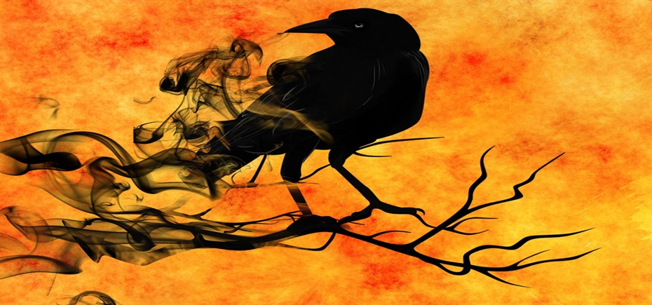 halloween raven-988229_1920_930x435