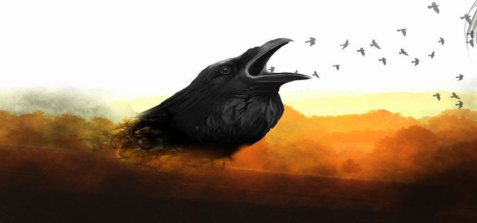 crow-1317295_1280 Cropped_930x435